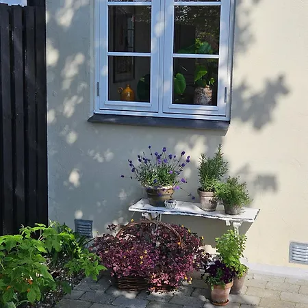 A Med Dejlig Gardhave Pa Thuro Kaeledyr Er Ikke Gratis Og Skal Tilfojes Daire Svendborg